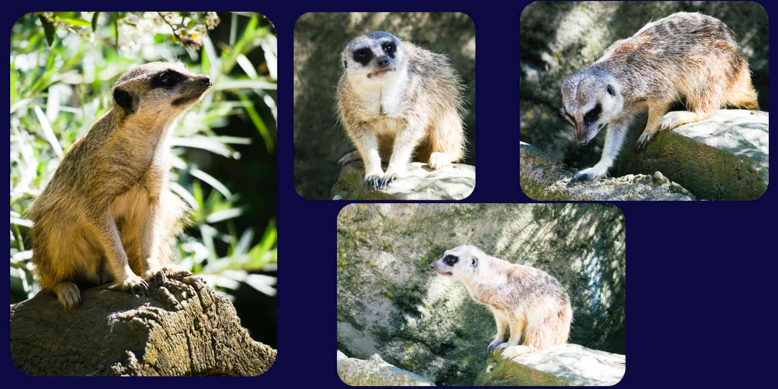 ZOOM Erlebniswelt